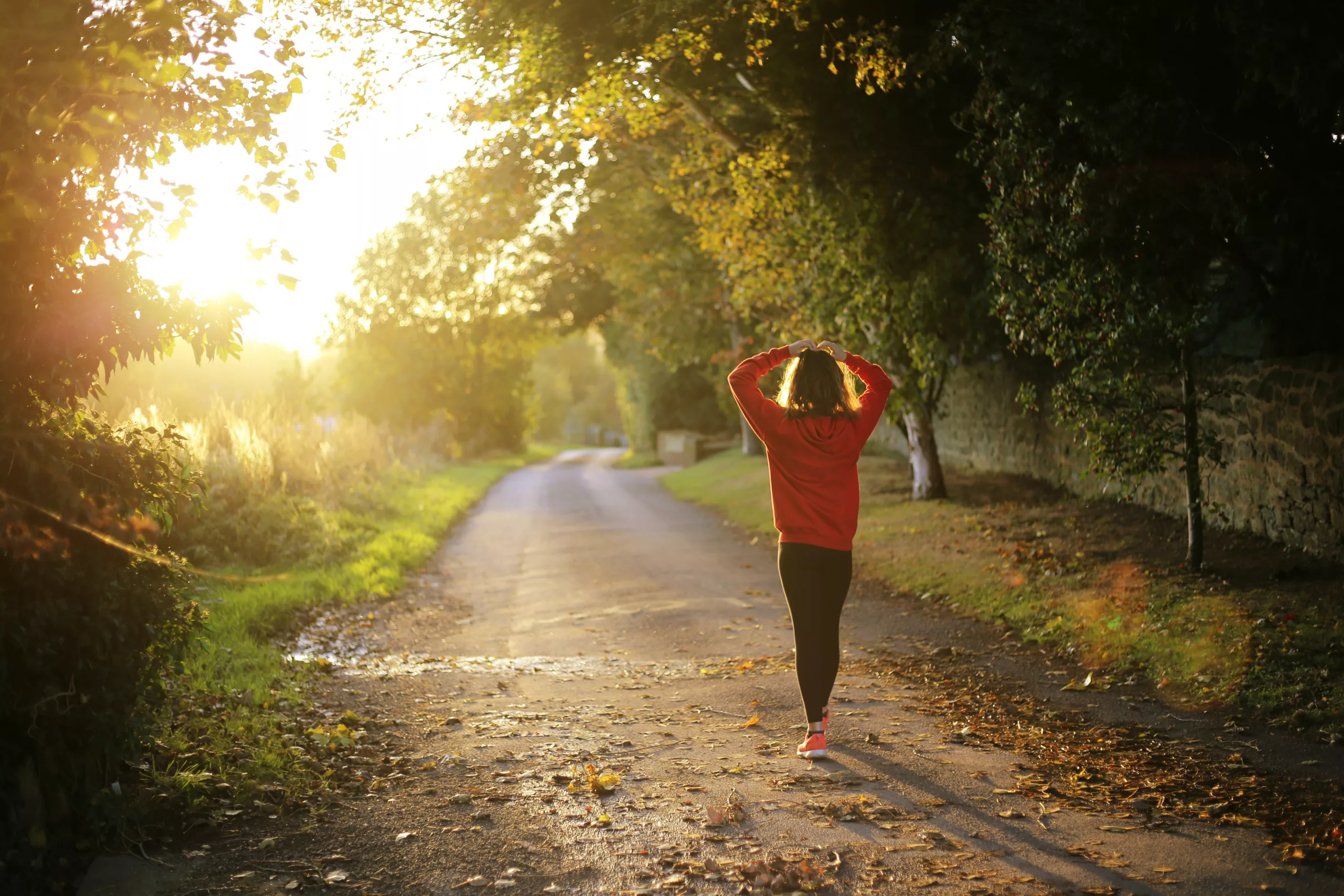 nature-therapy-a-path-to-revitalizing-happiness